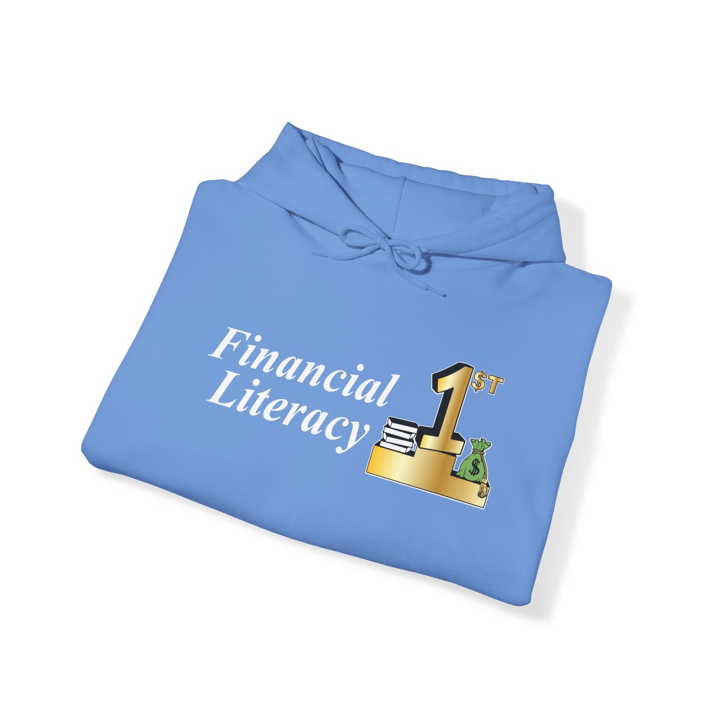 Financial Literacy Unisex Hoodie