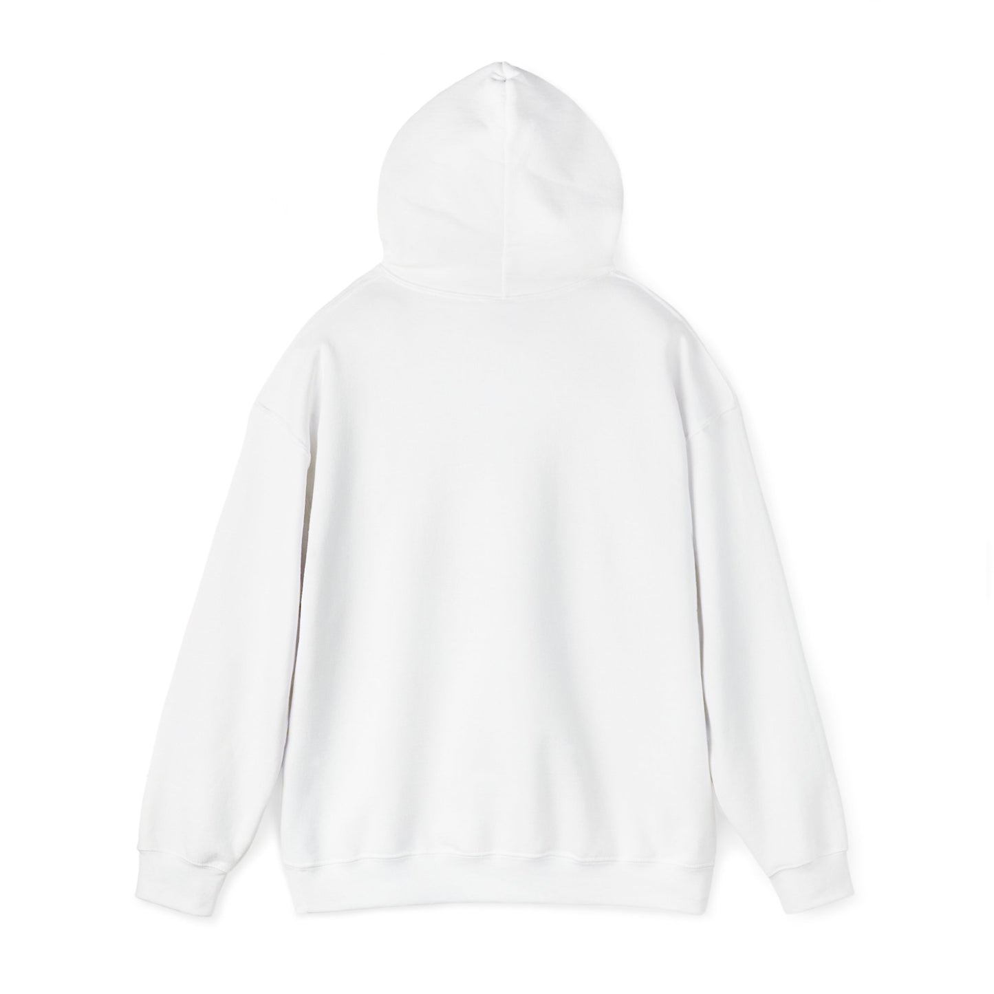 Financial Literacy Unisex Hoodie