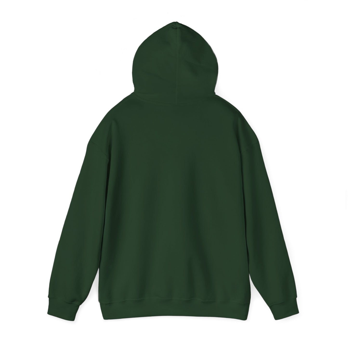 Financial Literacy Unisex Hoodie