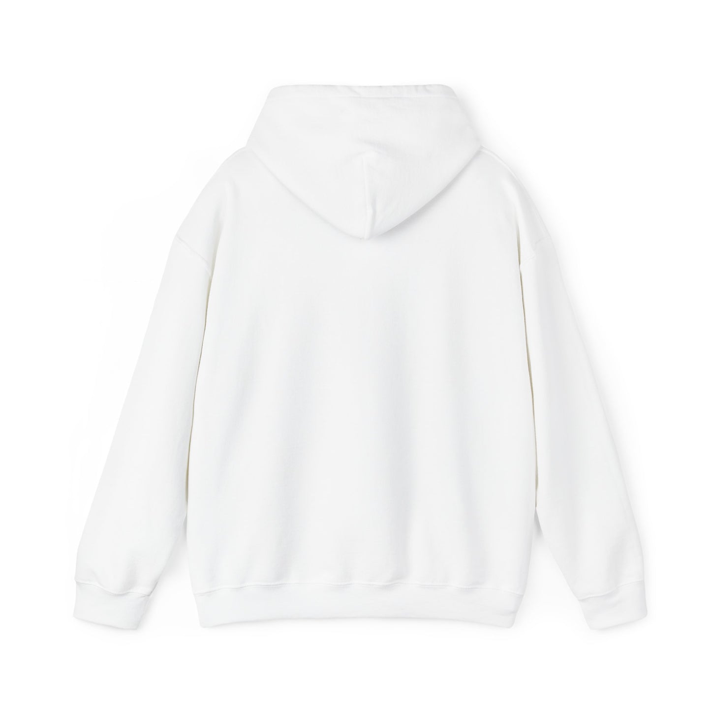 Financial Literacy Unisex Hoodie
