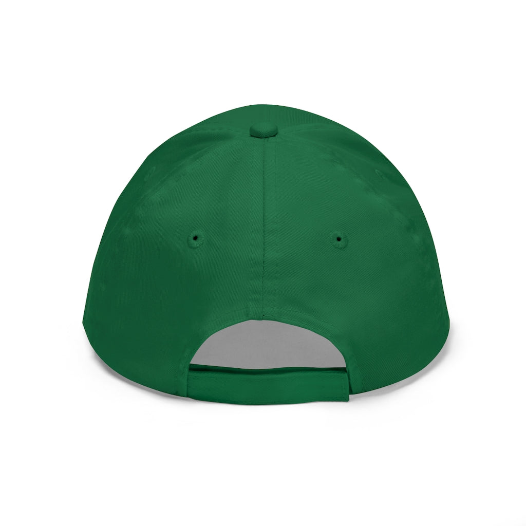 Financial Literacy Unisex Dad Hat